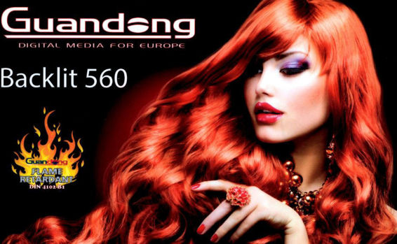 Picture of Guandong Intercast Premium Banner, Backlit