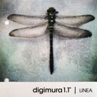 Bild von Papergraphics Digimura-1.1
